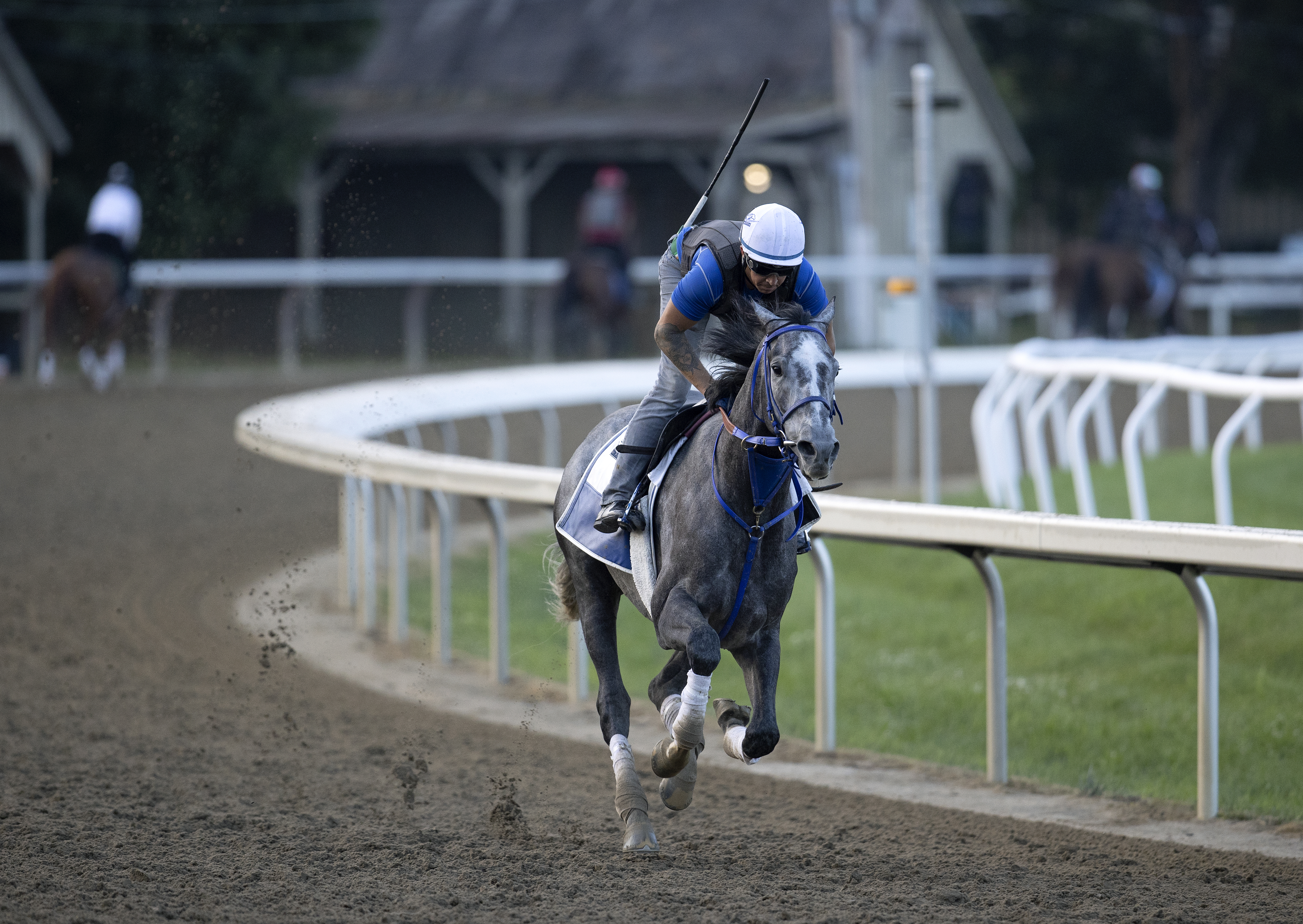 Creative Minister trains at Saratoga July 21 2022