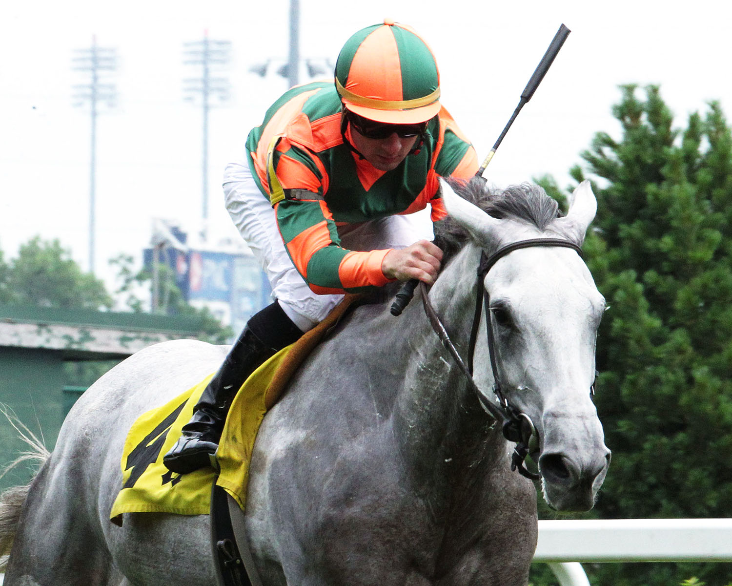 Creative Thinking wins the Keertana Stakes