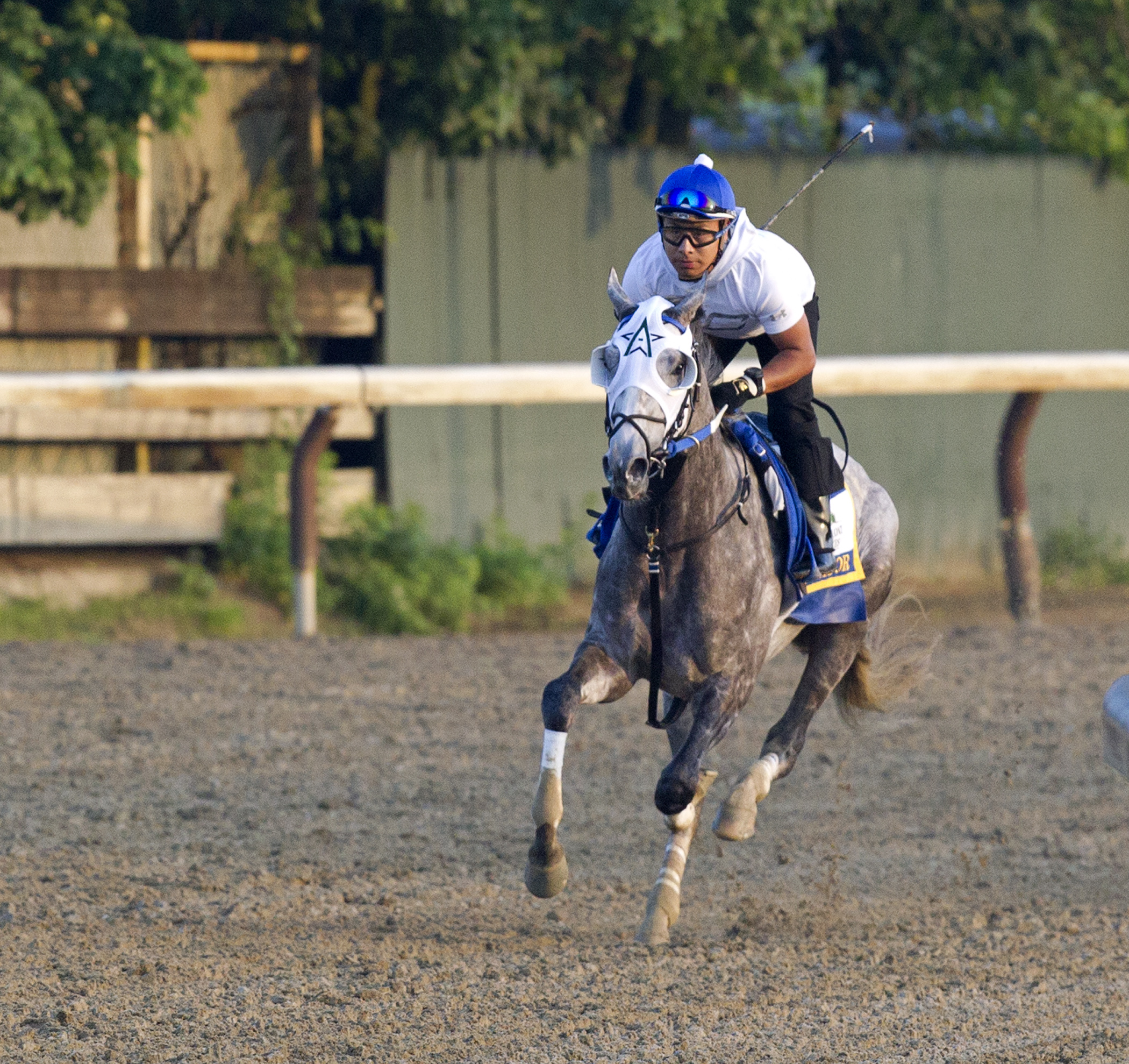 Belmont Doings: 12 set to face Exaggerator