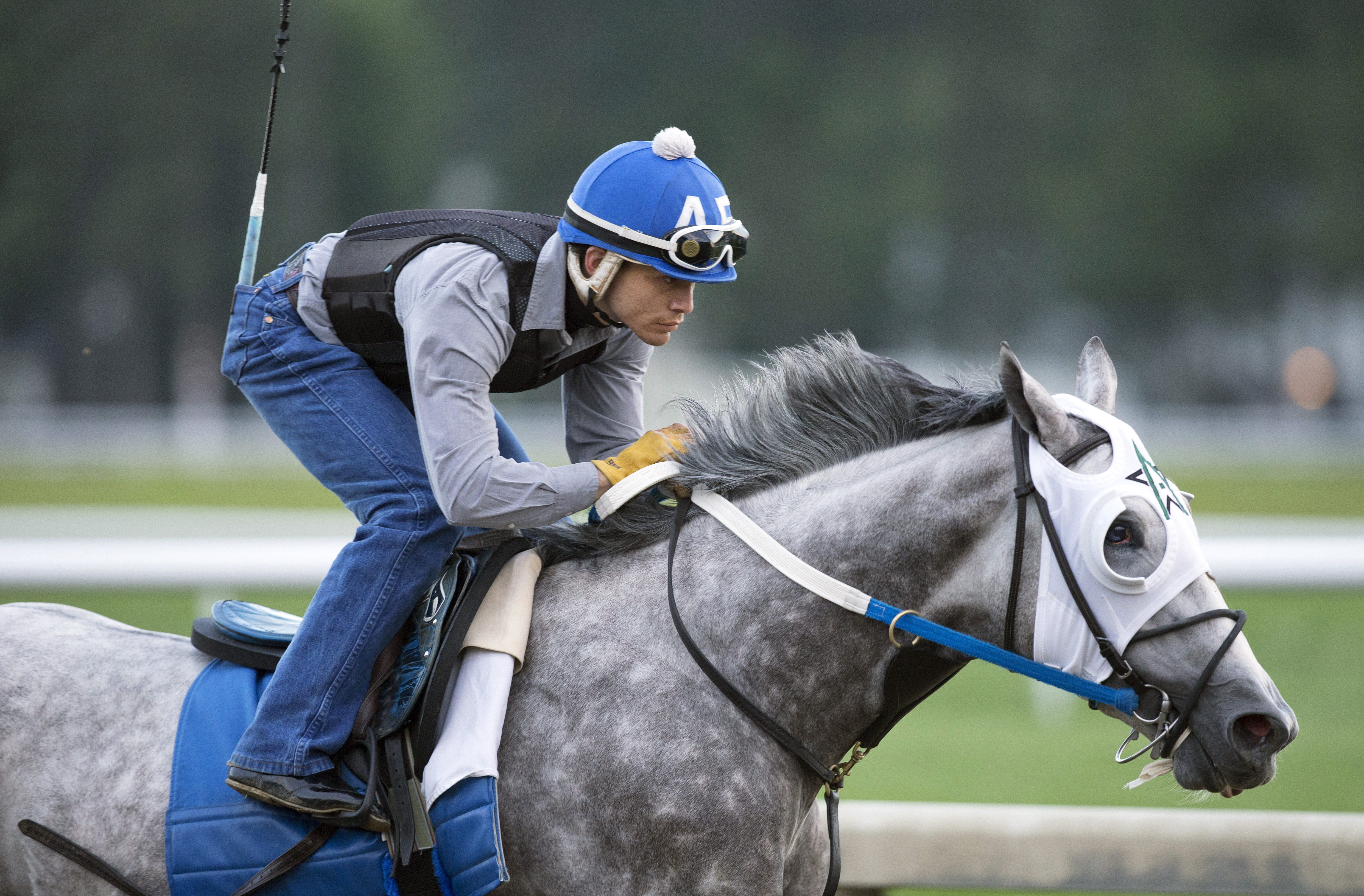 Creator trains at Saratoga on July 25