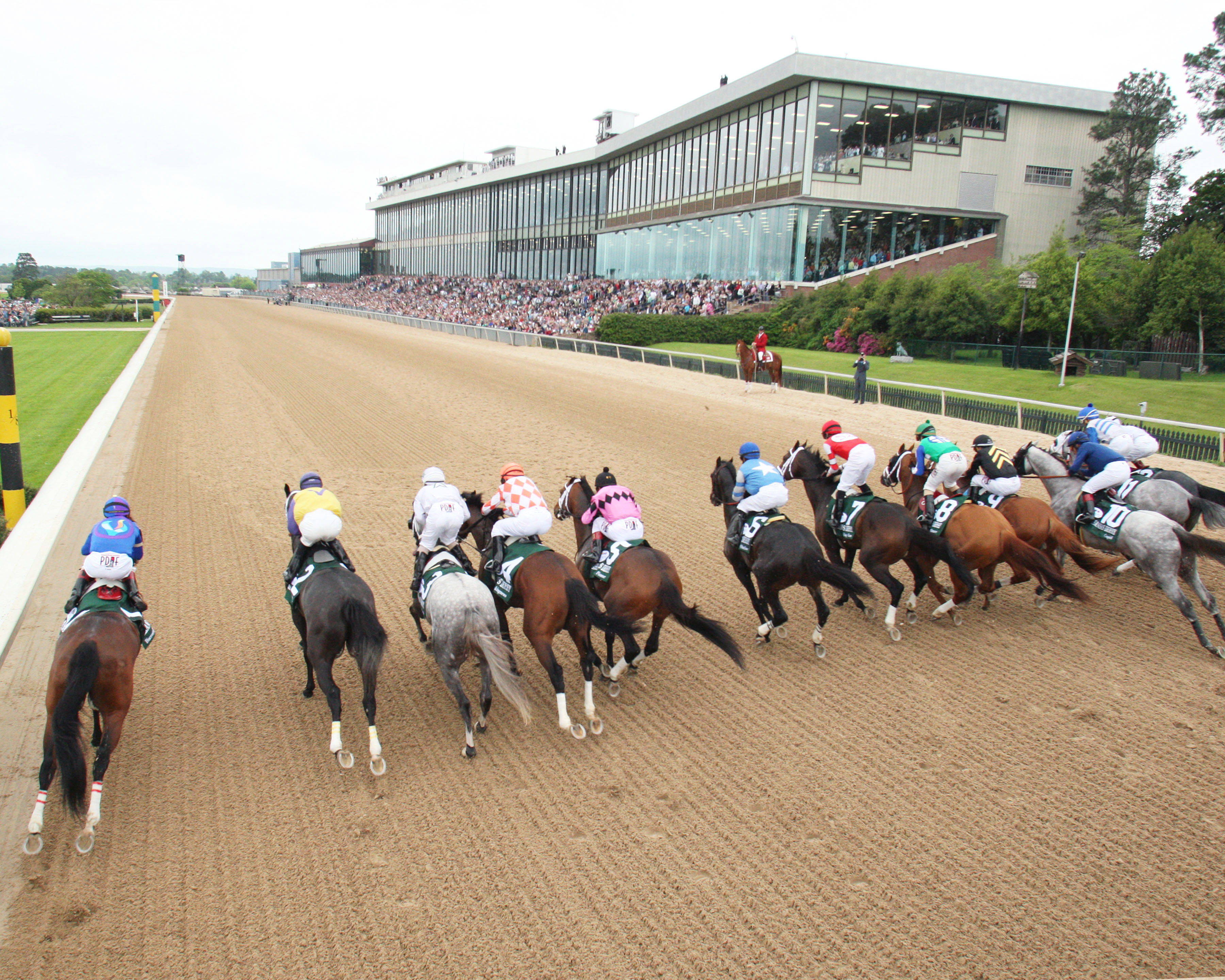 Oaklawn dirt race
