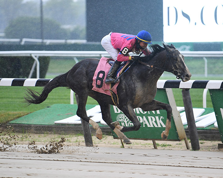 Creed wins a June 11 maiden race at Belmont Park