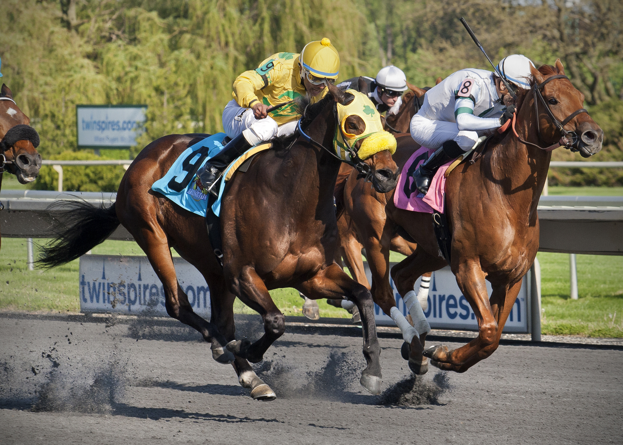 Crewman wins the Hanshin Cup