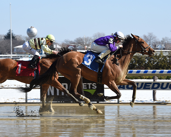 Crimson Frost wins a Feb. 18 allowance race at Aqueduct
