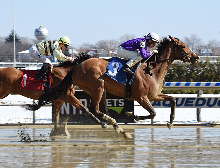 Crimson Frost wins a Feb. 18 allowance race at Aqueduct