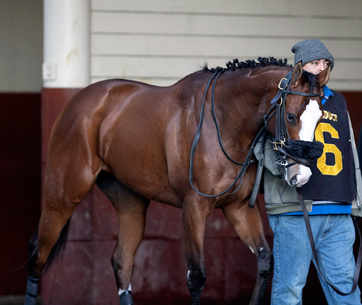 Critical Value at Aqueduct Racetrack in December 2019