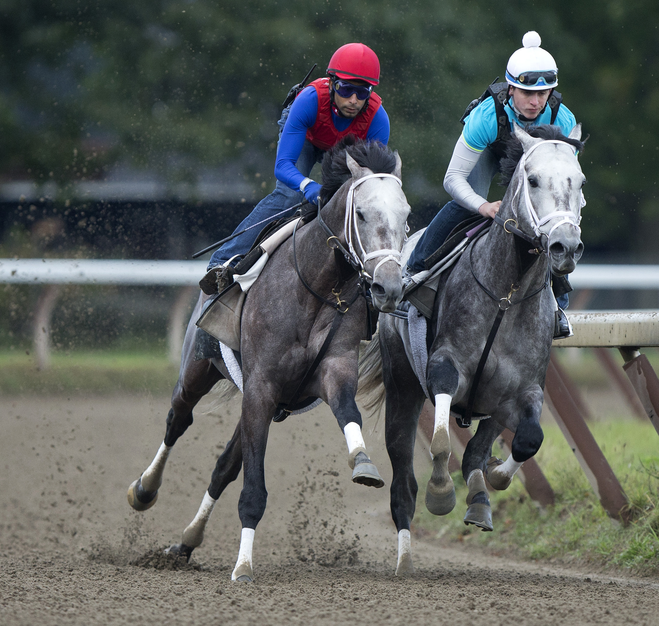 Cross Traffic, Graydar training