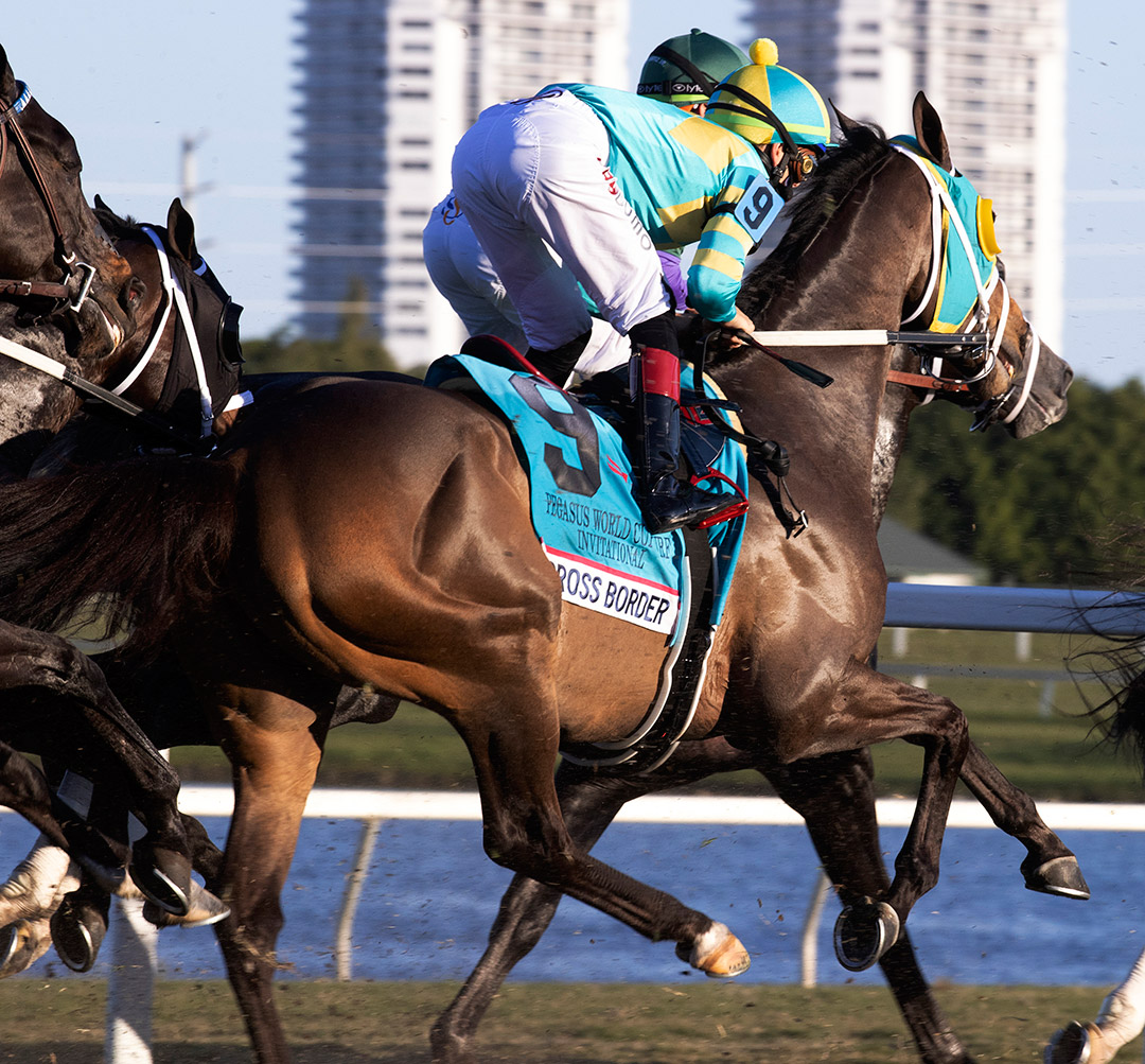 Cross Border finishes third in the 2021 Pegasus World Cup Turf at Gulfstream Park