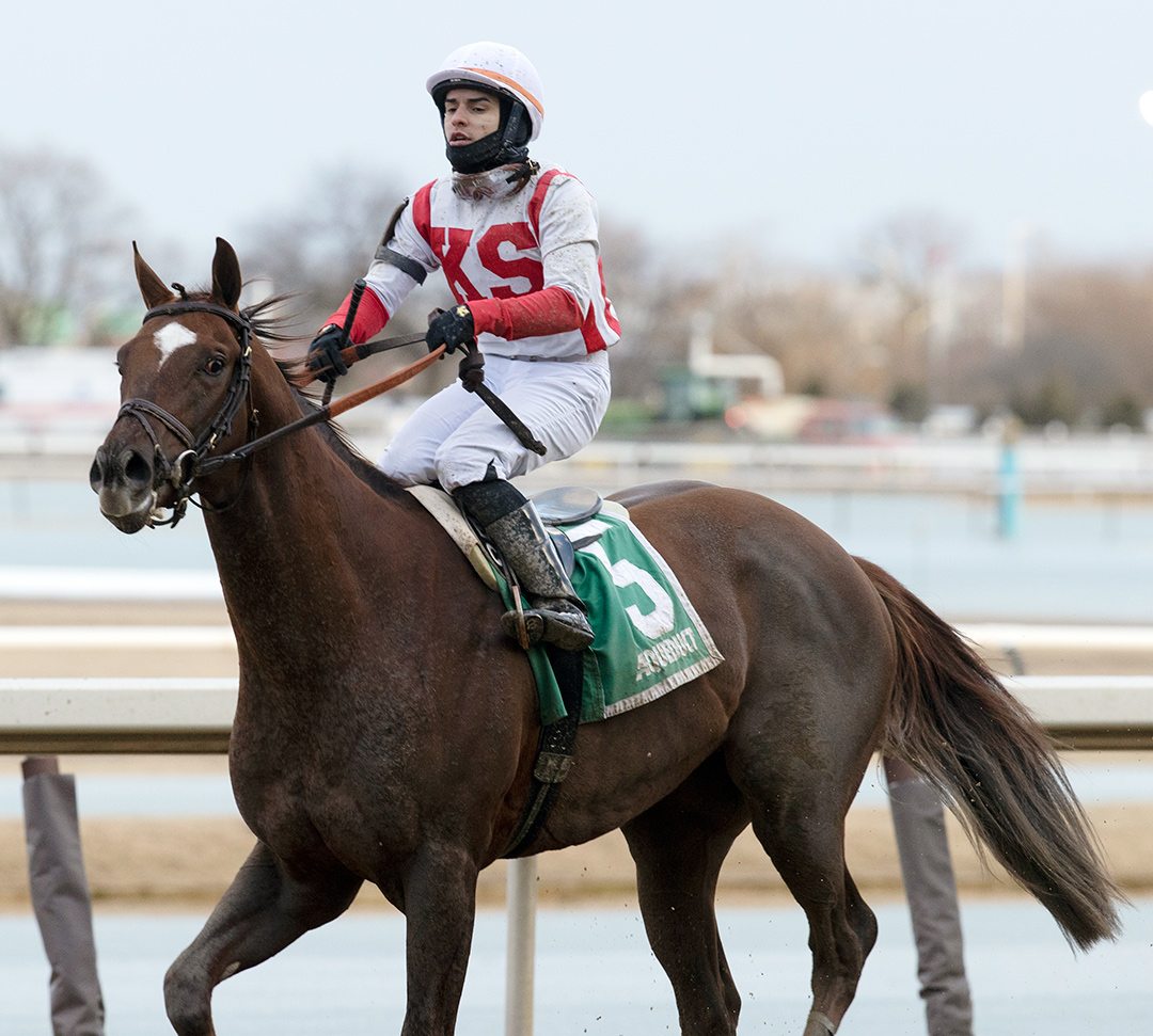 Crowded Trade finishes second in the Gotham Stakes at Aqueduct