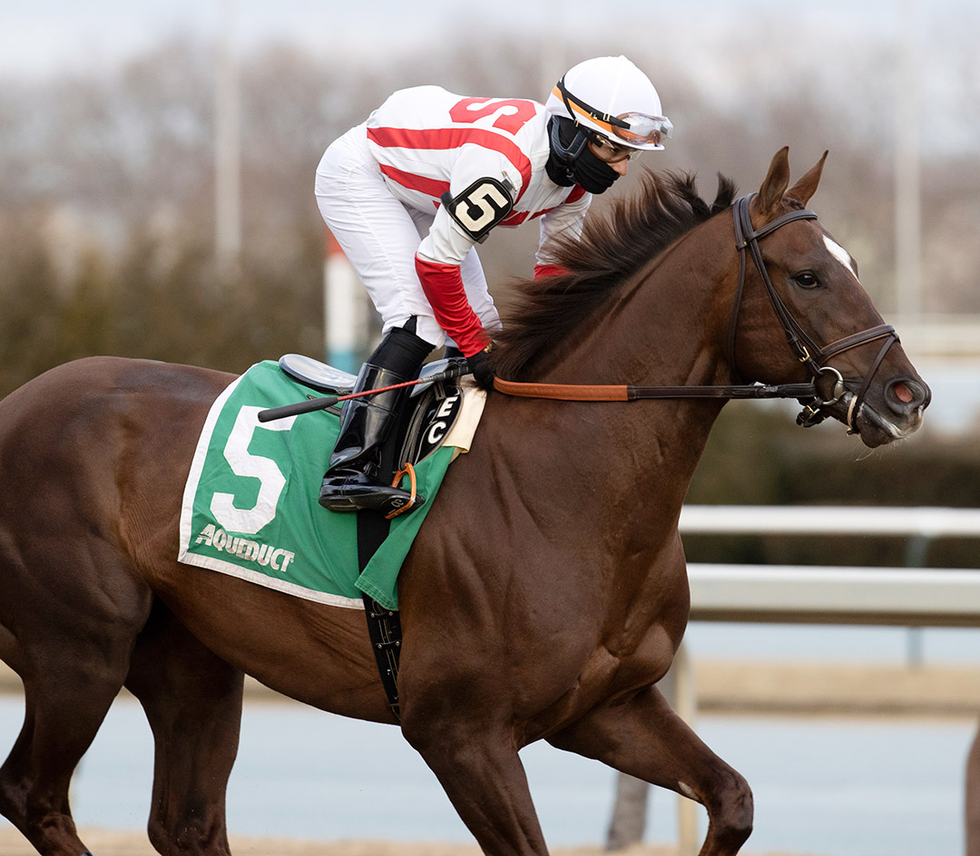Crowded Trade finishes second in the Gotham Stakes at Aqueduct