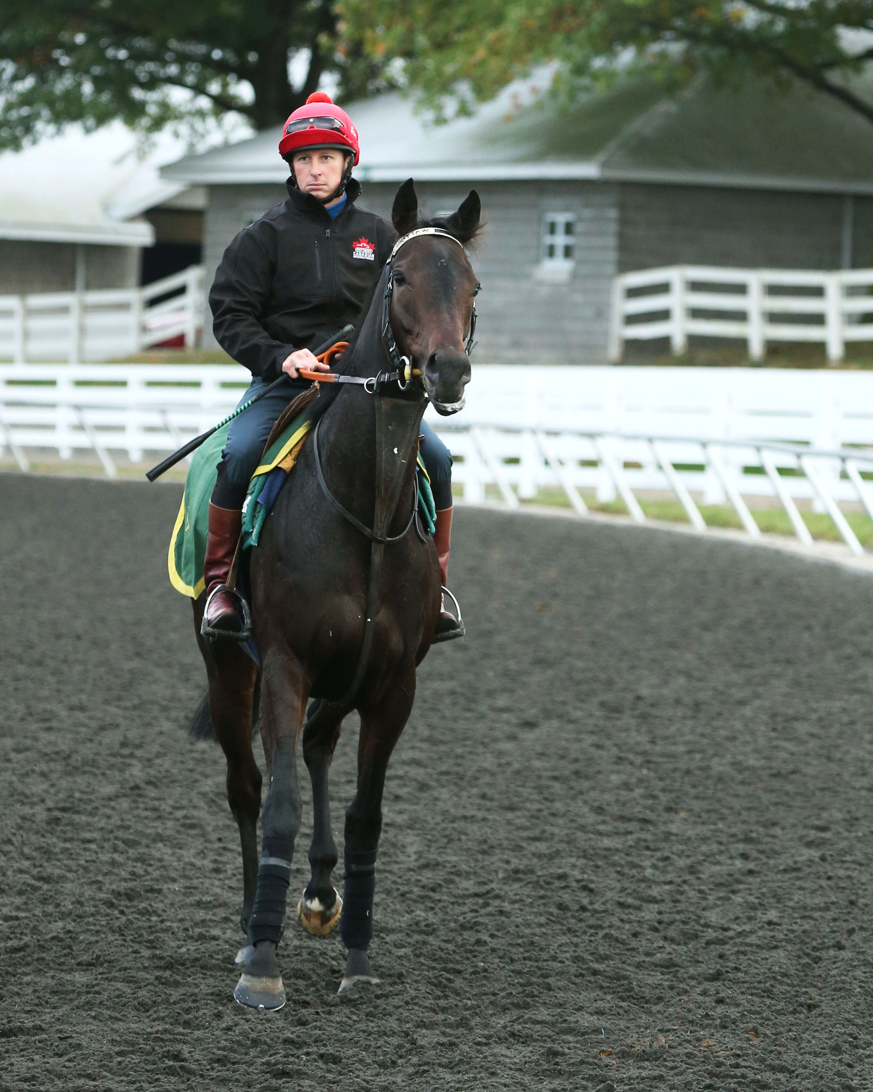 Crowley's Law at Keeneland