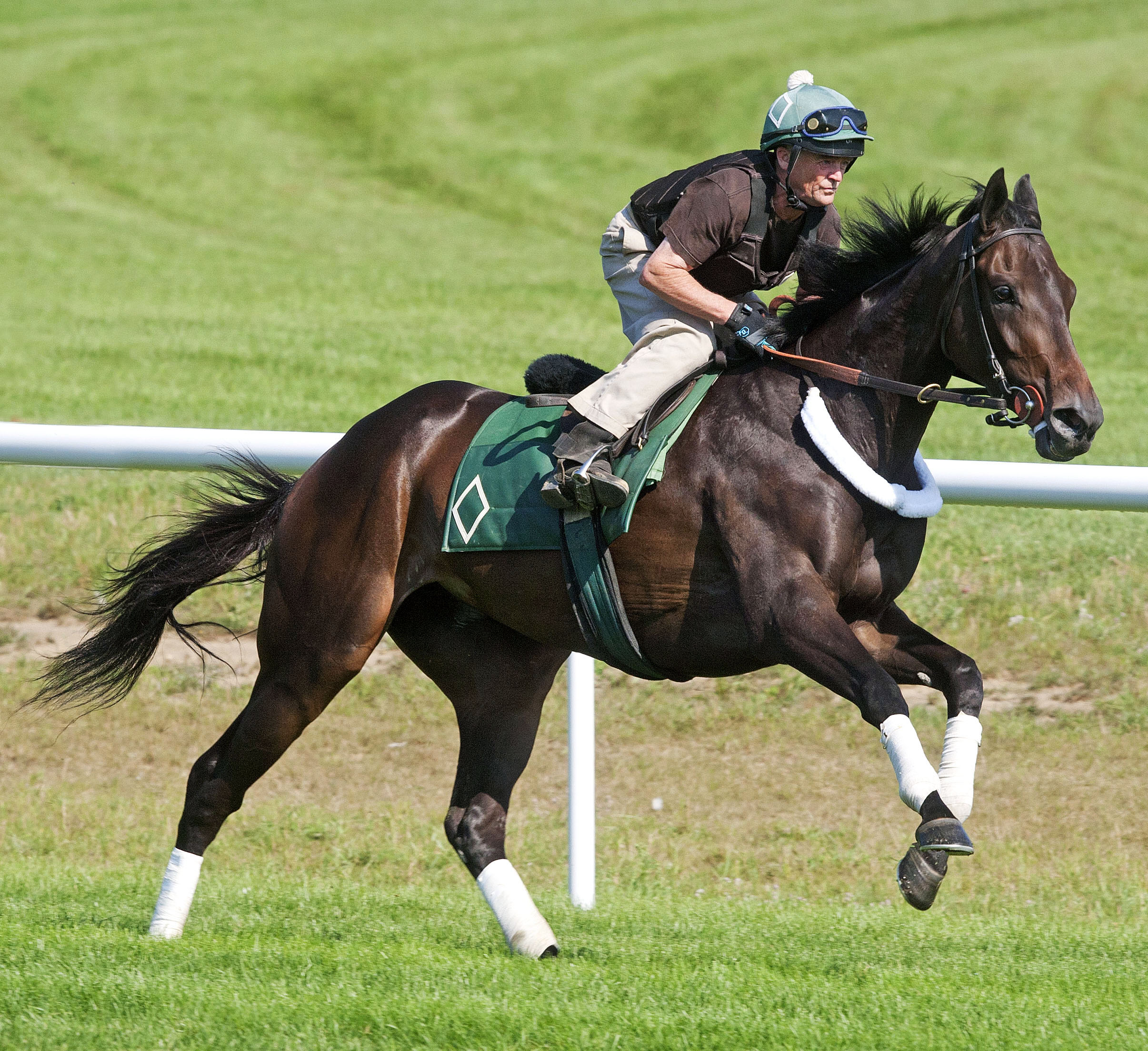Crown Queen trains at Saratoga on Aug. 10