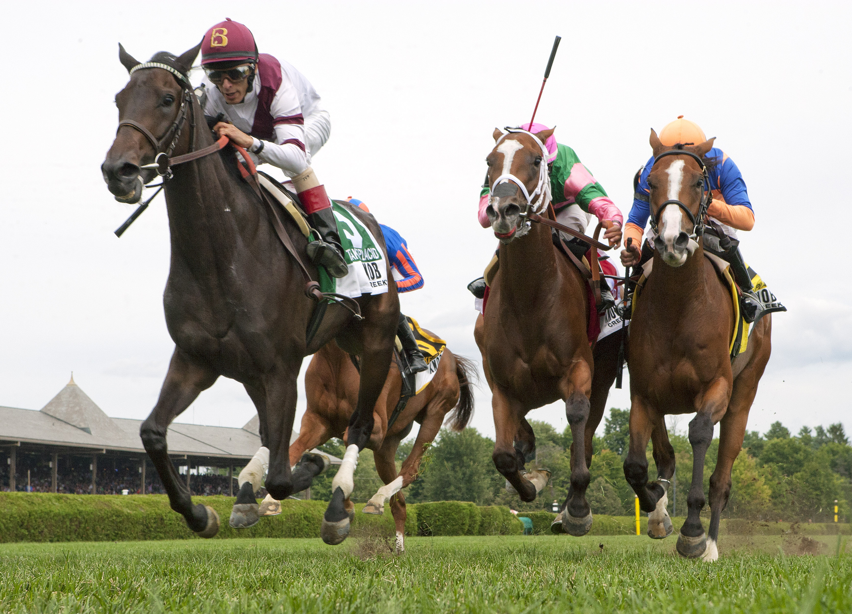 Crown Queen wins 2014 Lake Placid