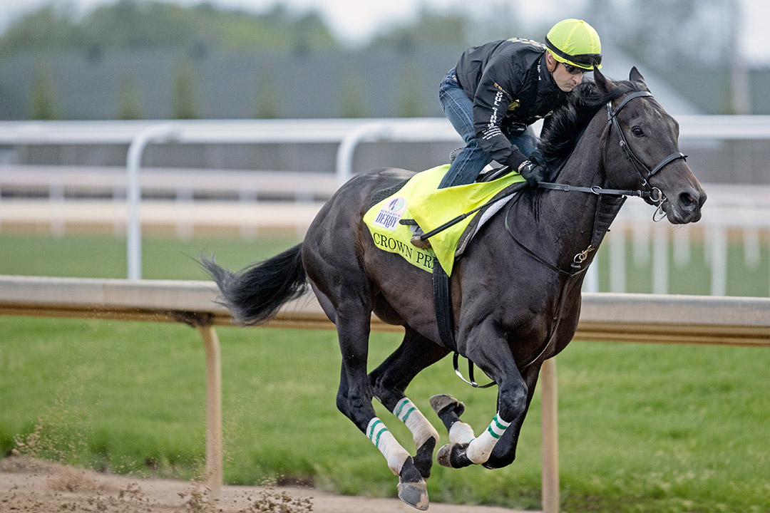 Crown Pride works at Churchill Downs on May 4