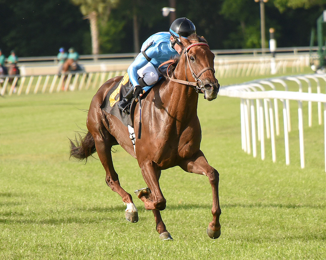 Crown and Sugar wins the 2019 Pleasant Acres Stallions Distaff Turf Stakes at Tampa Bay Downs