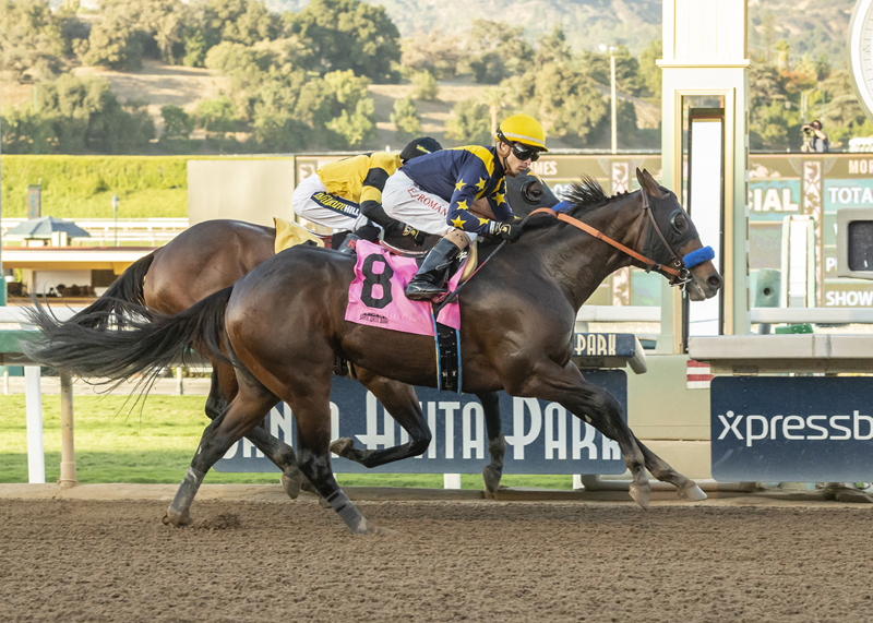 Cruel Intention wins the 2018 Golden State Juvenile