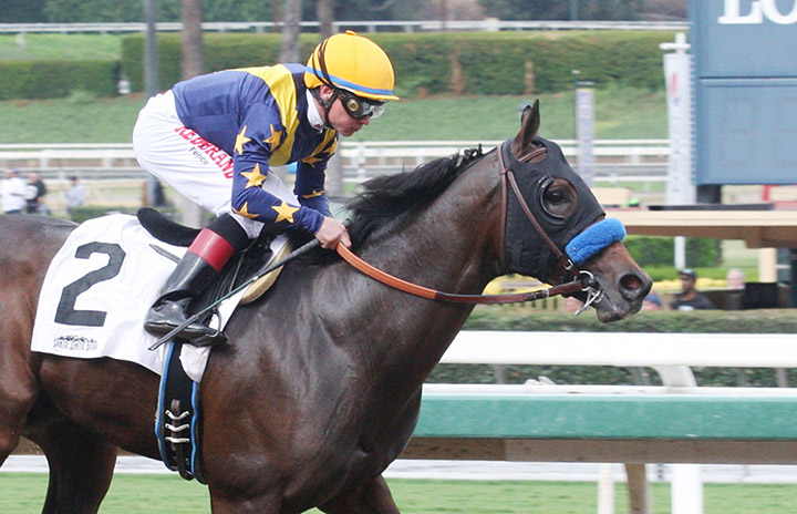 Cruel Intention wins an Oct. 13 maiden race
