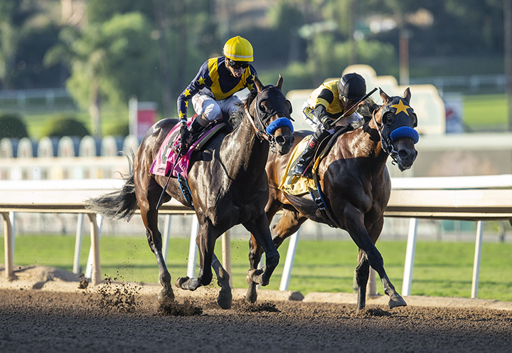 Galilean finishes second in the 2018 Golden State Juvenile Stakes