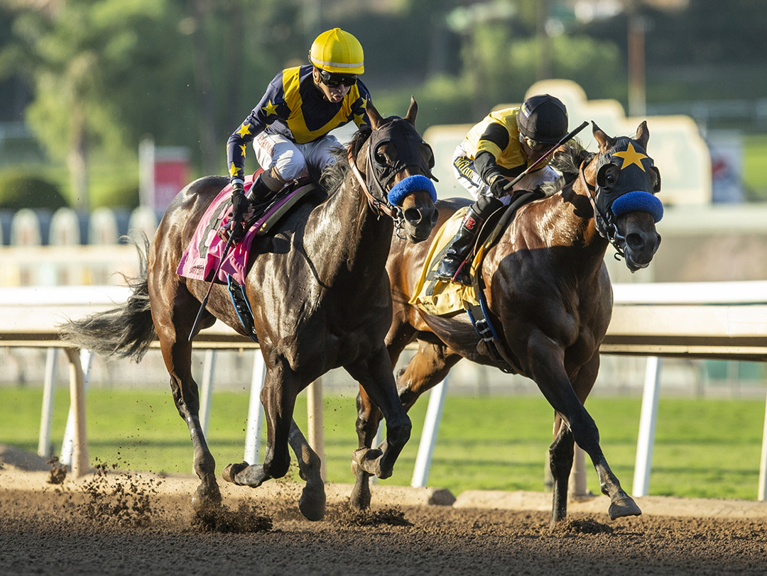 Cruel Intention (left) wins the 2018 Golden State Juvenile at Santa Anita