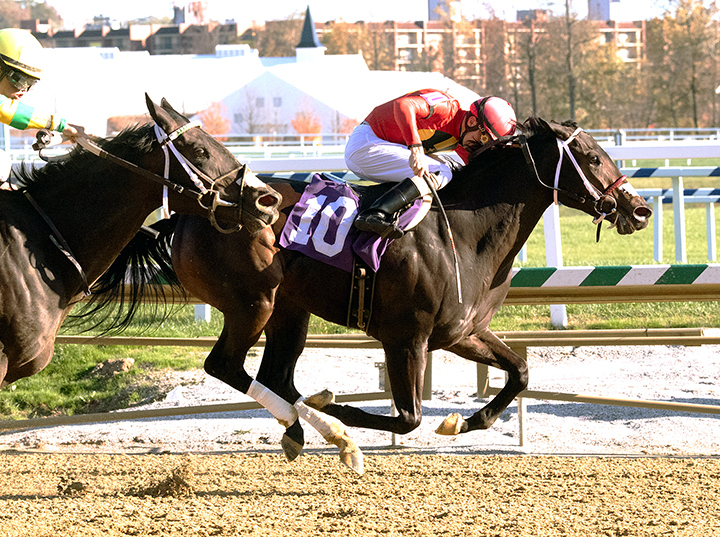 Cruise and Danze wins a Nov. 1 maiden race at Laurel Park