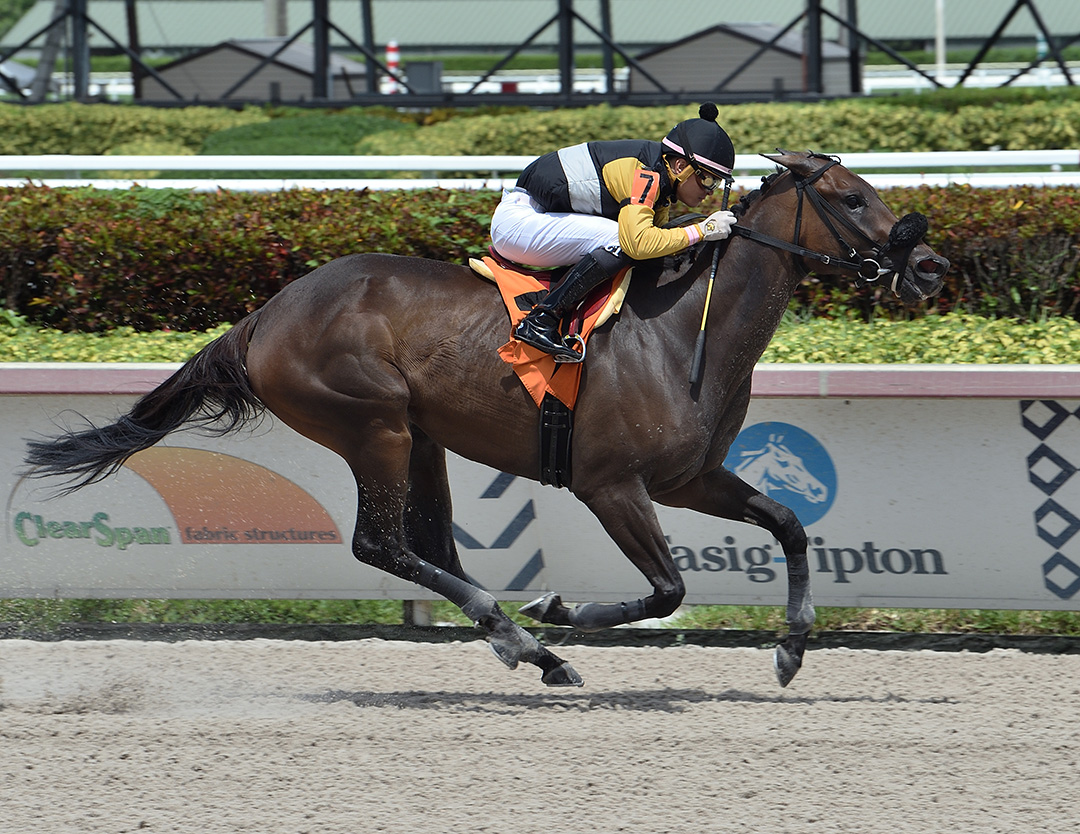Crumb Bun wins a July 24 allowance at Gulfstream Park