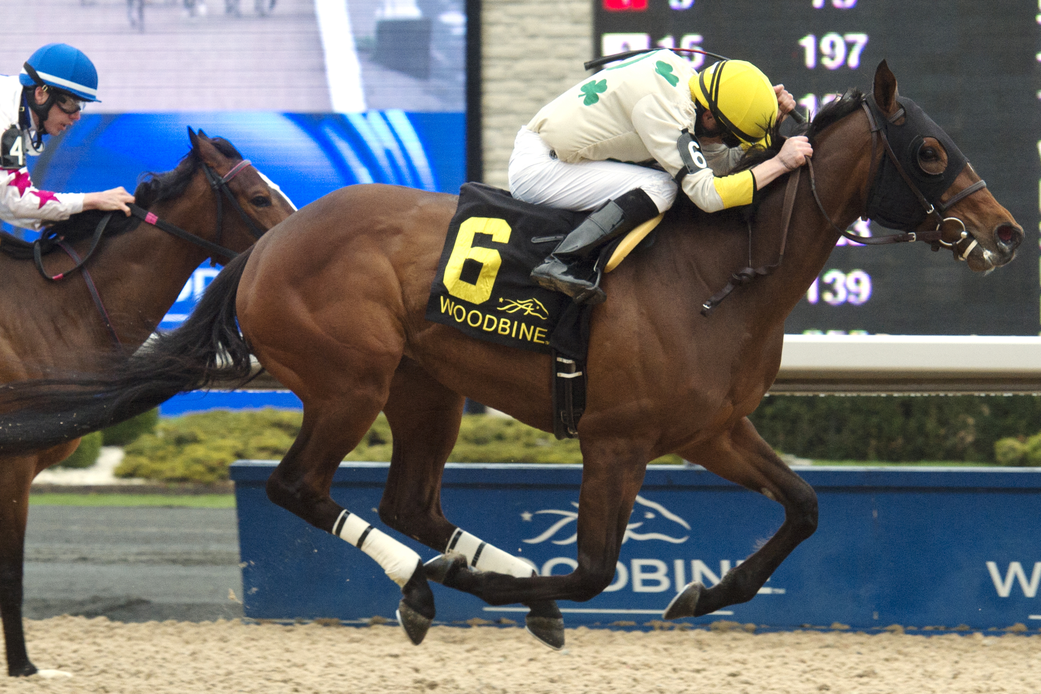Crumlin Spirit wins the Lady Angela Stakes
