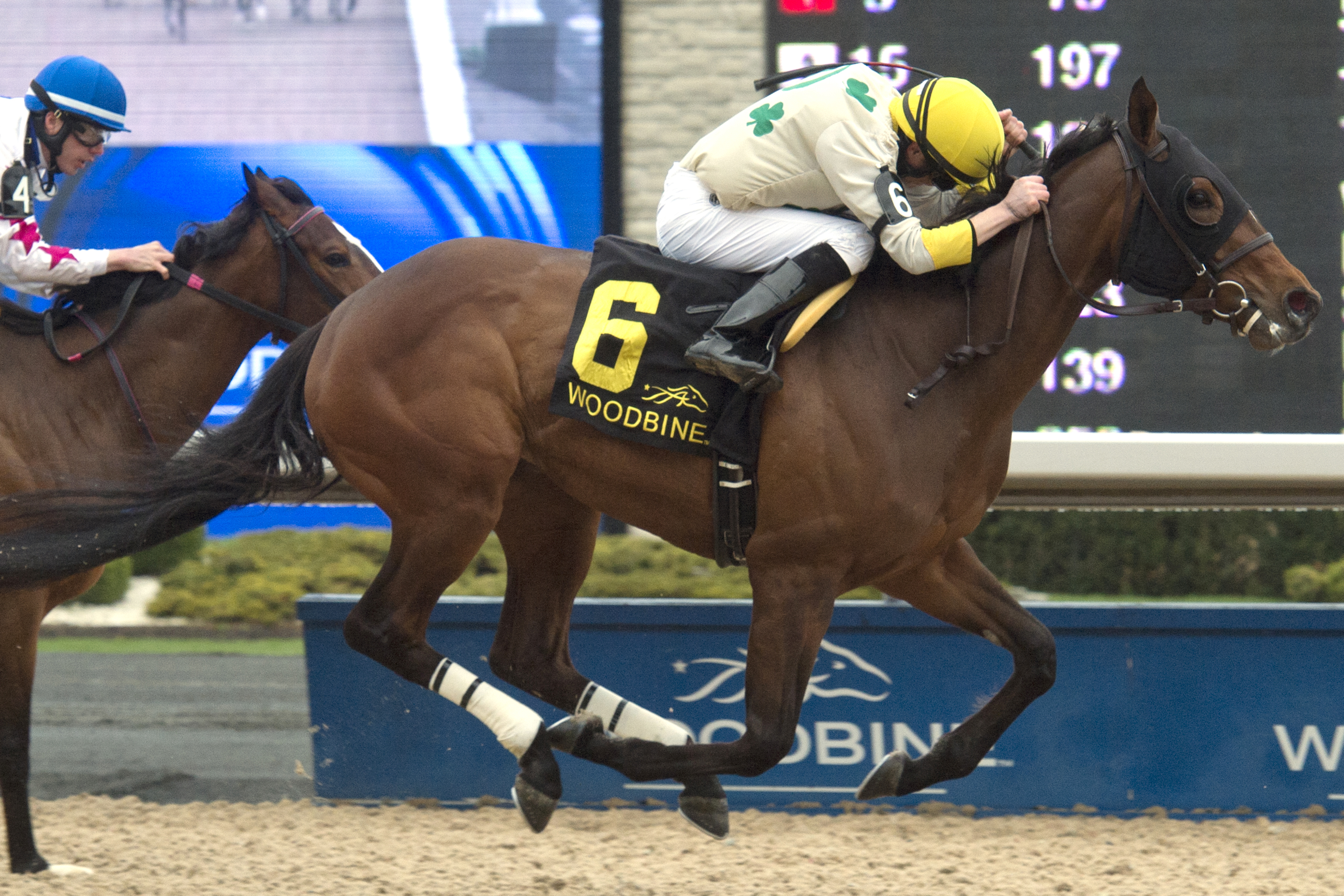 Crumlin Spirit wins the Lady Angela Stakes