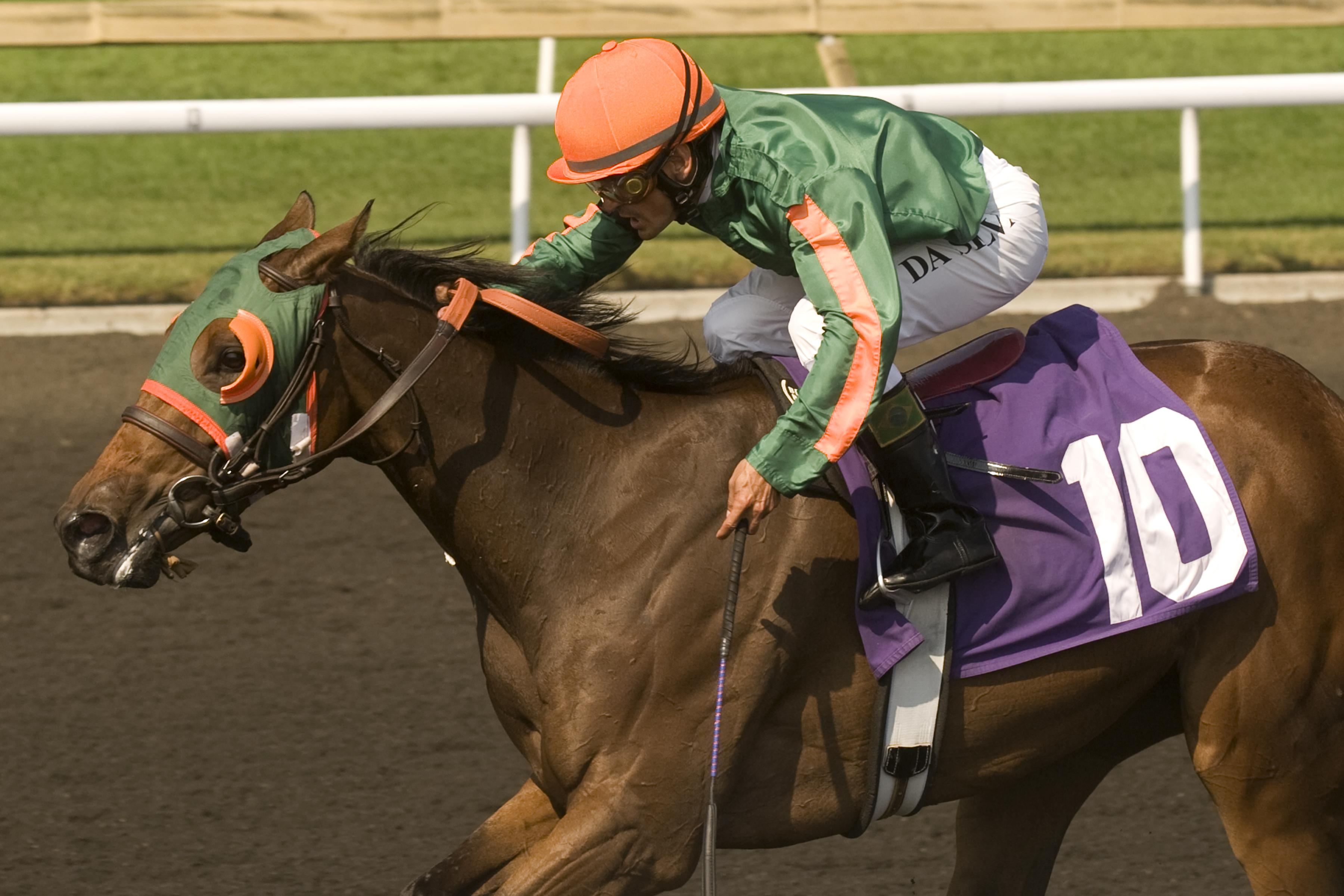 Cryptic Message/Muskoka Stakes