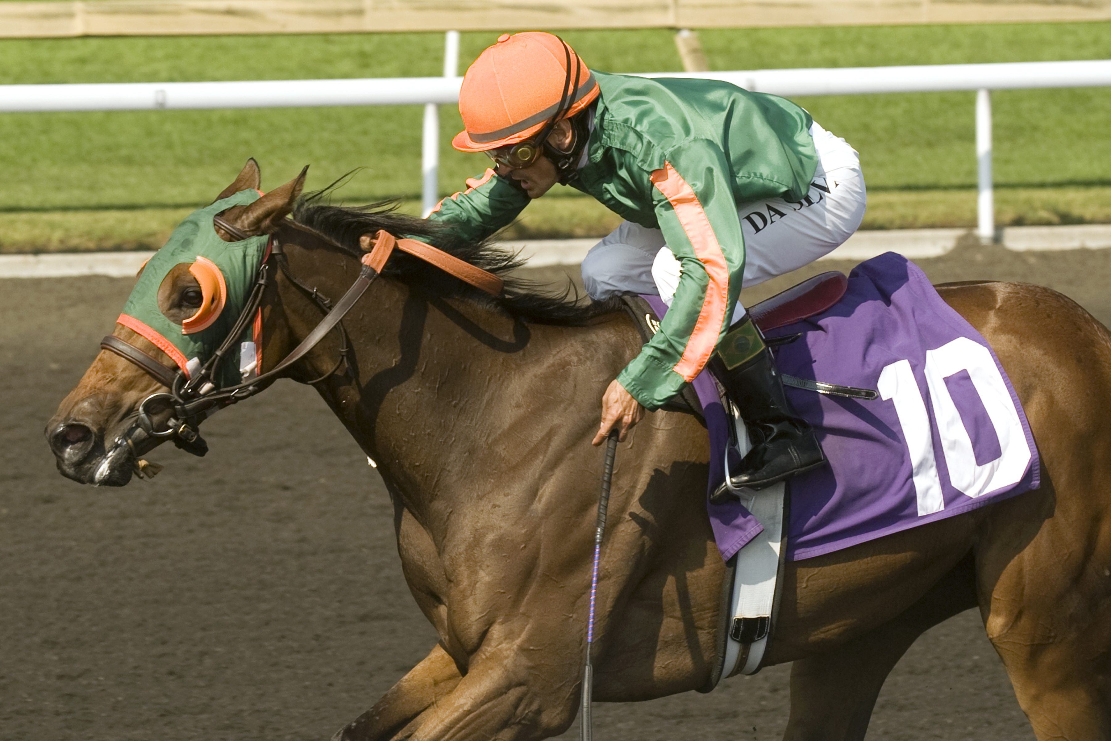 Cryptic Message, Muskoka Stakes