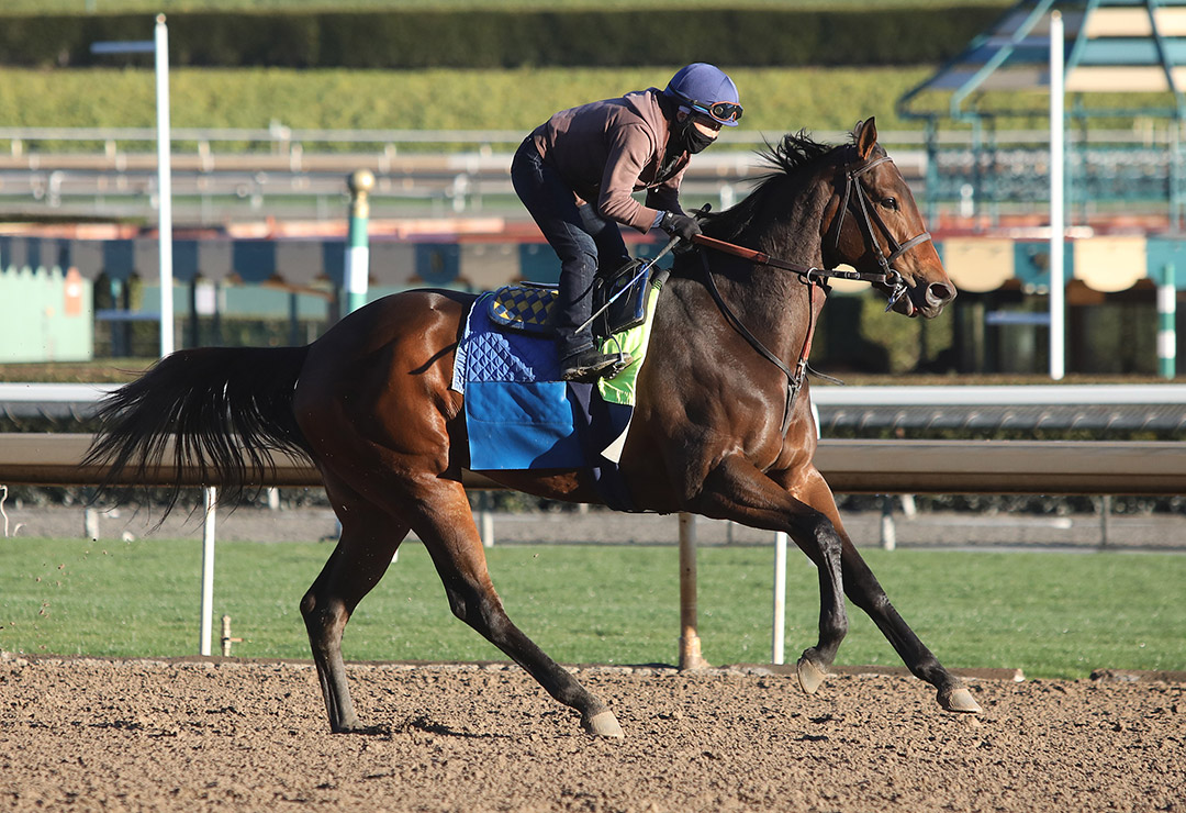 Crystal Ball trains at Santa Anita on January 30