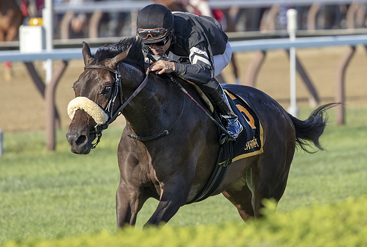 Crystalle wins the 2019 P.G. Johnson Stakes at Saratoga Race Course