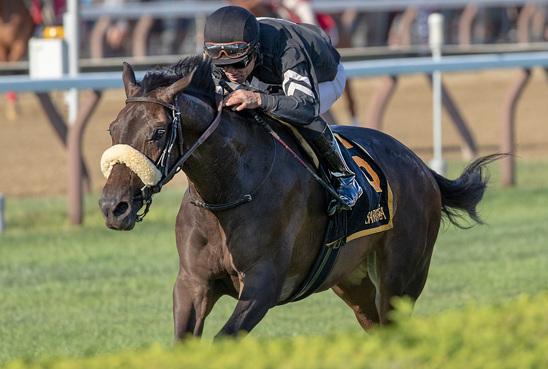 Crystalle wins the 2019 P. G. Johnson Stakes at Saratoga