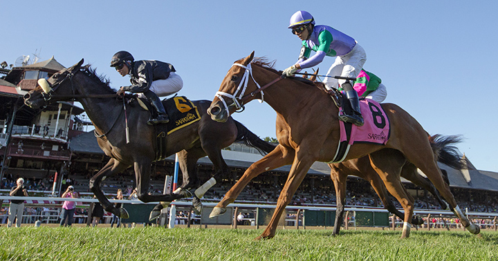 Crystalle wins the 2019 P.G. Johnson Stakes at Saratoga Race Course