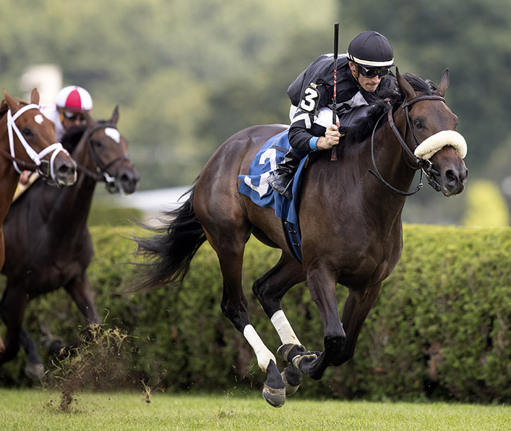 Crystalle crosses the finish line first in an Aug. 4 maiden at Saratoga