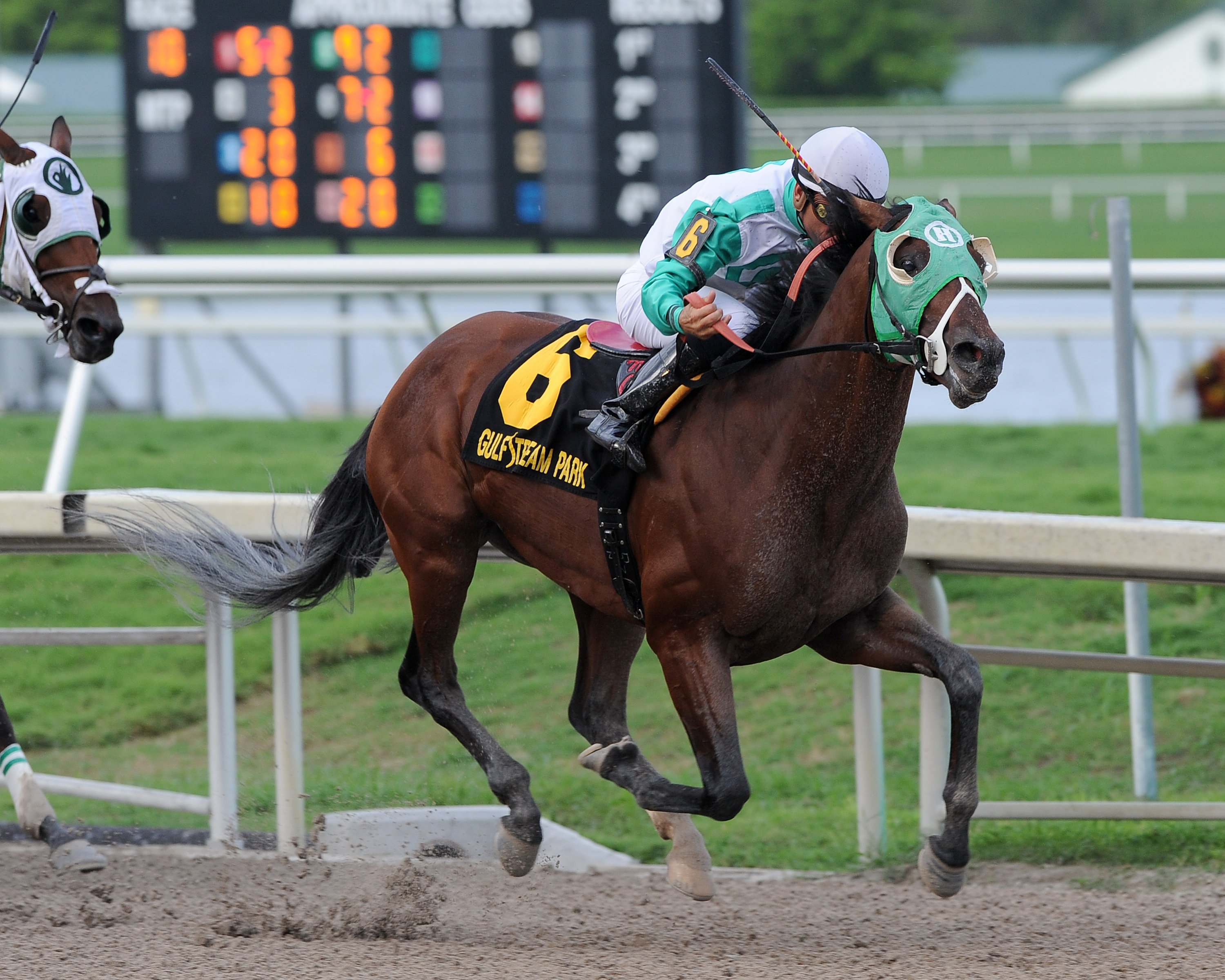 Csaba wins 2014 Skip Trial