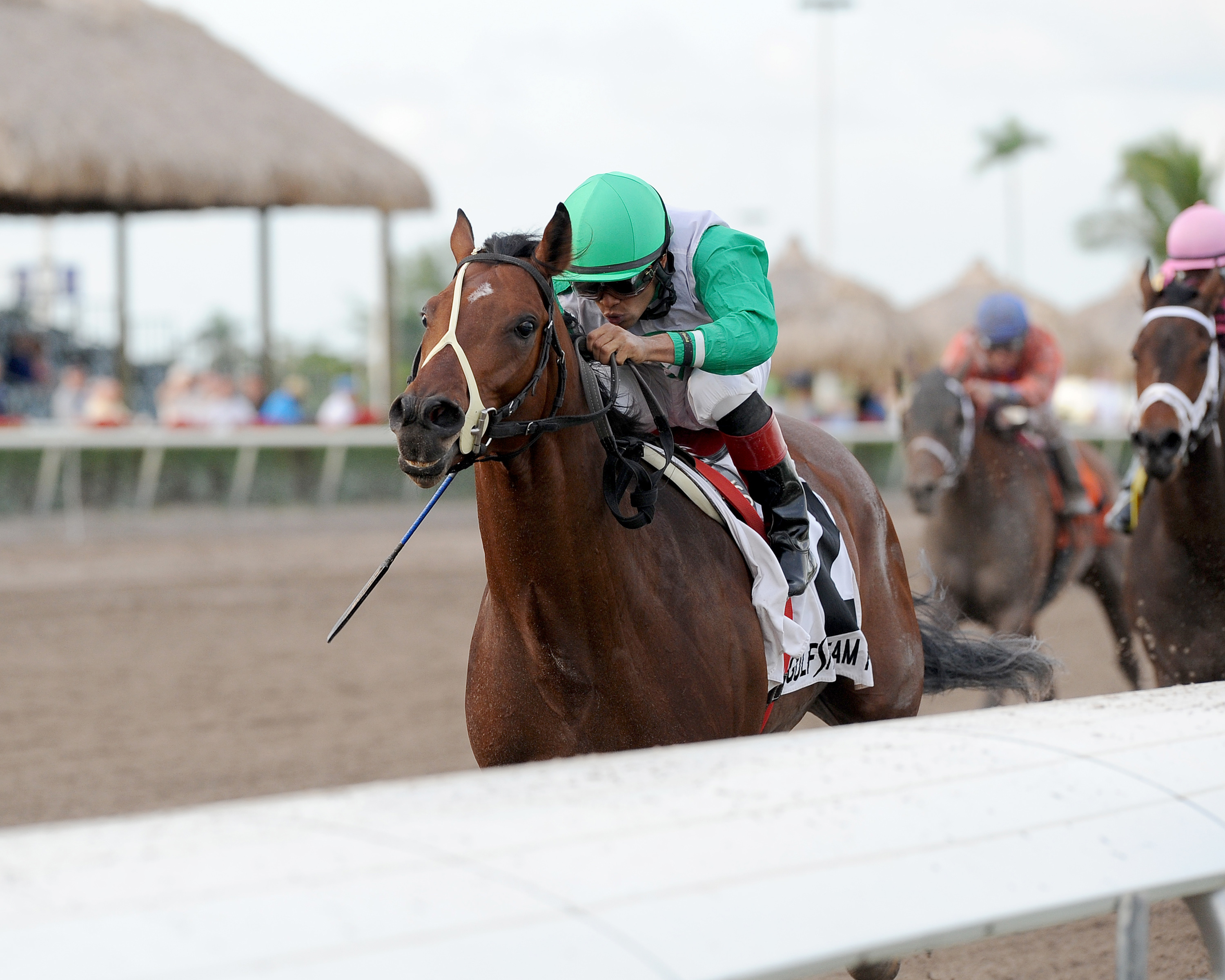 Csaba, Harlan's Holiday Stakes