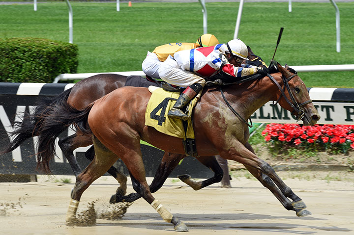Cucina wins a June 21 maiden race at Belmont