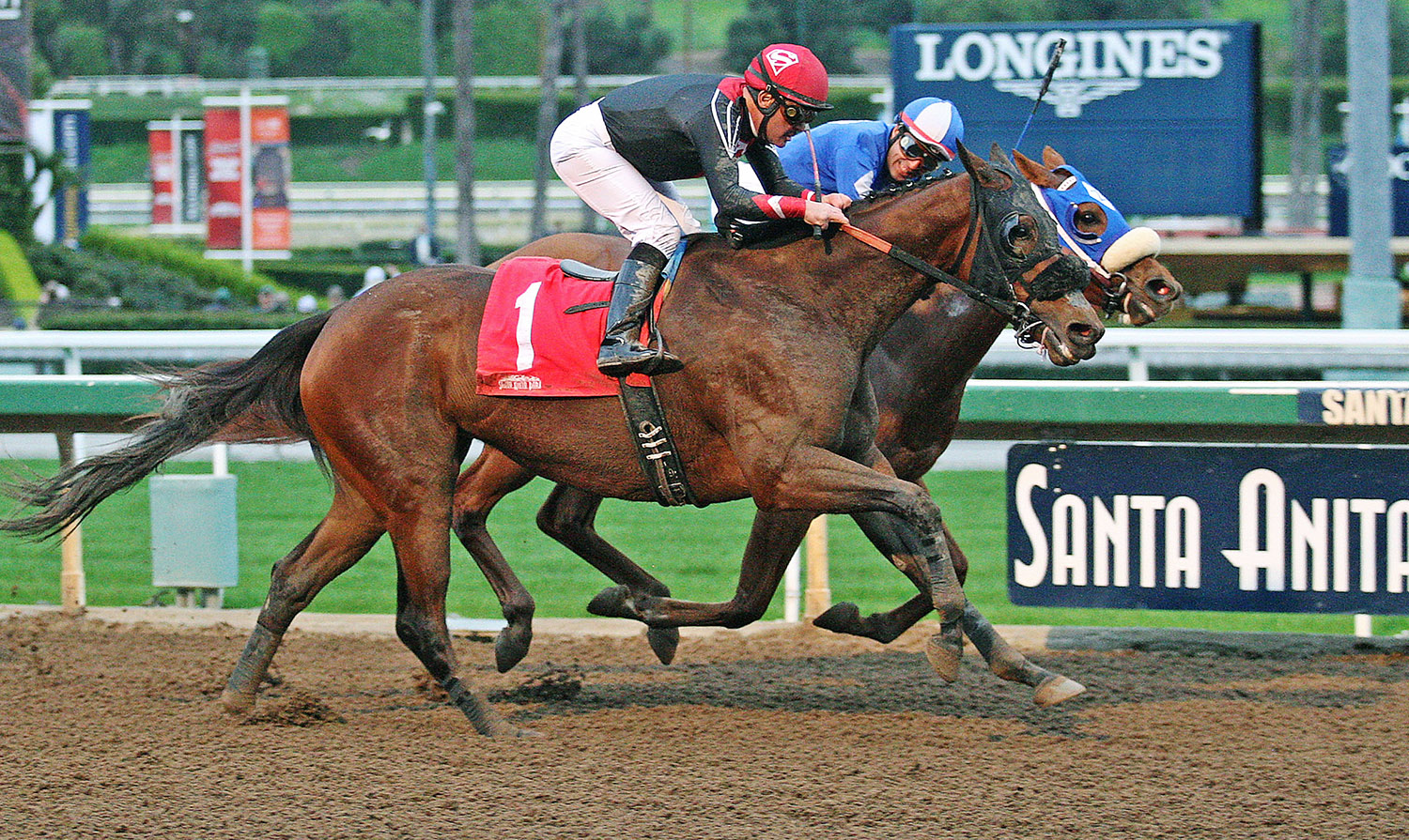 Cuddle Alert wins the 2017 Spring Fever Handicap