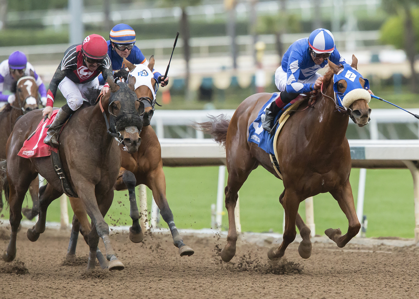 Late n Left finishes second in the Spring Fever Stakes