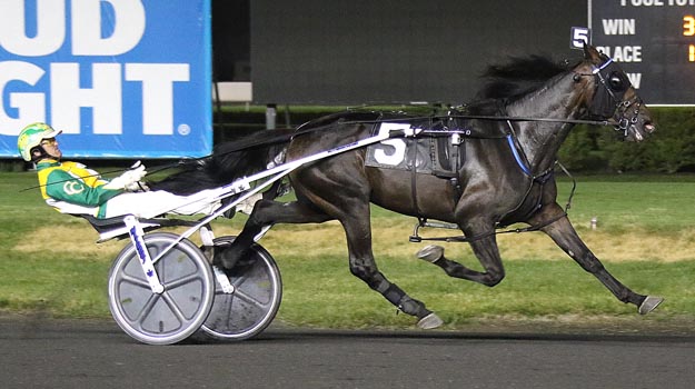 Cufflink Hanover