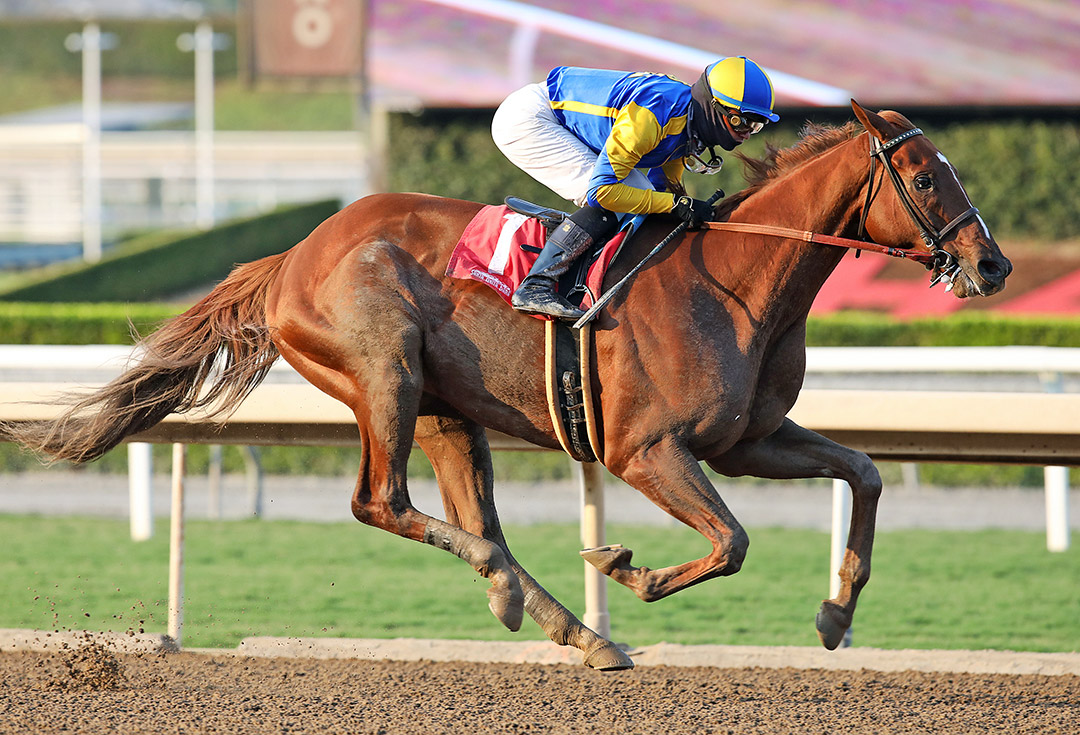 Cupid's Claws wins the 2020 Tokyo City Cup at Santa Anita