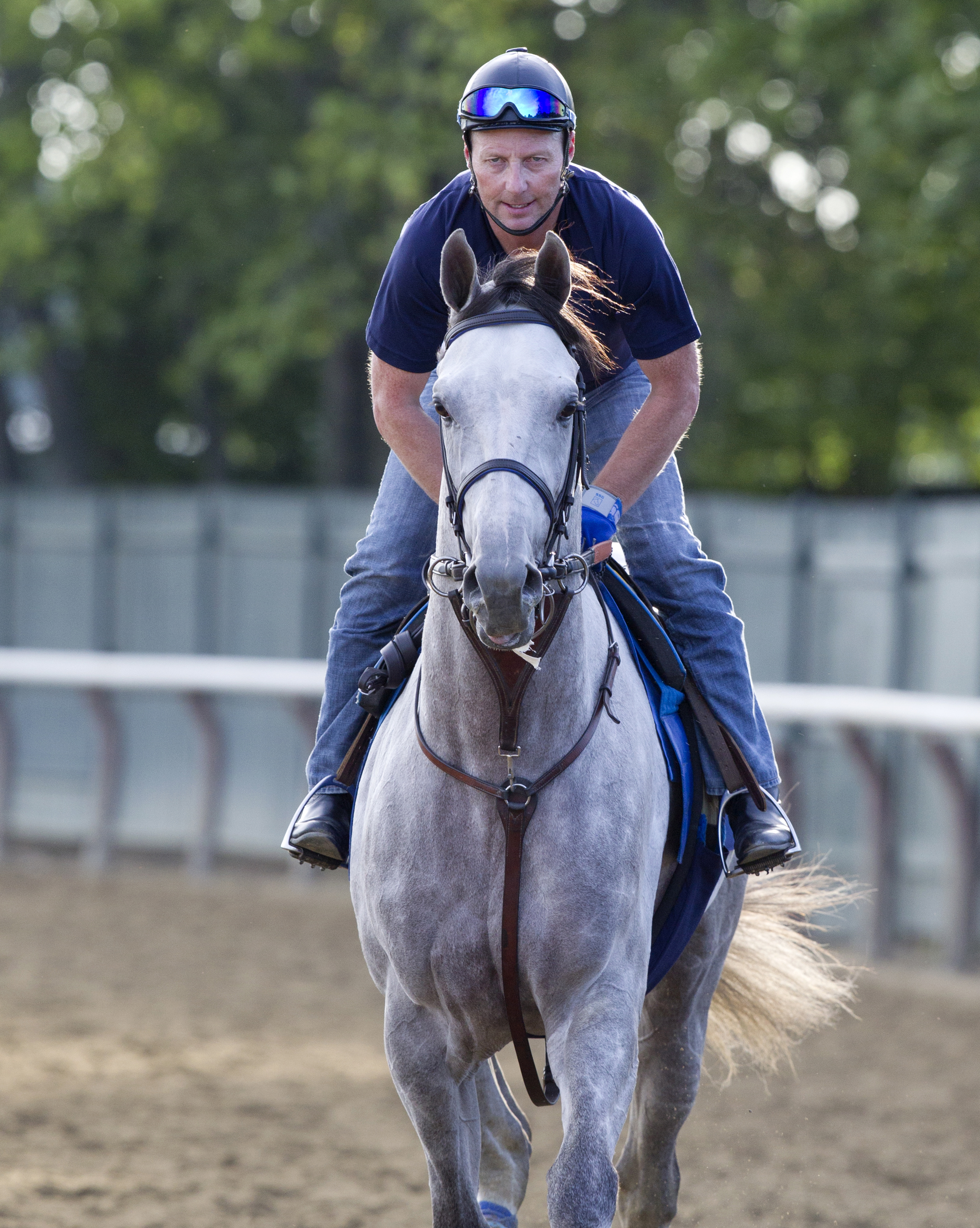 Cupid trains at Belmont Park on June 8