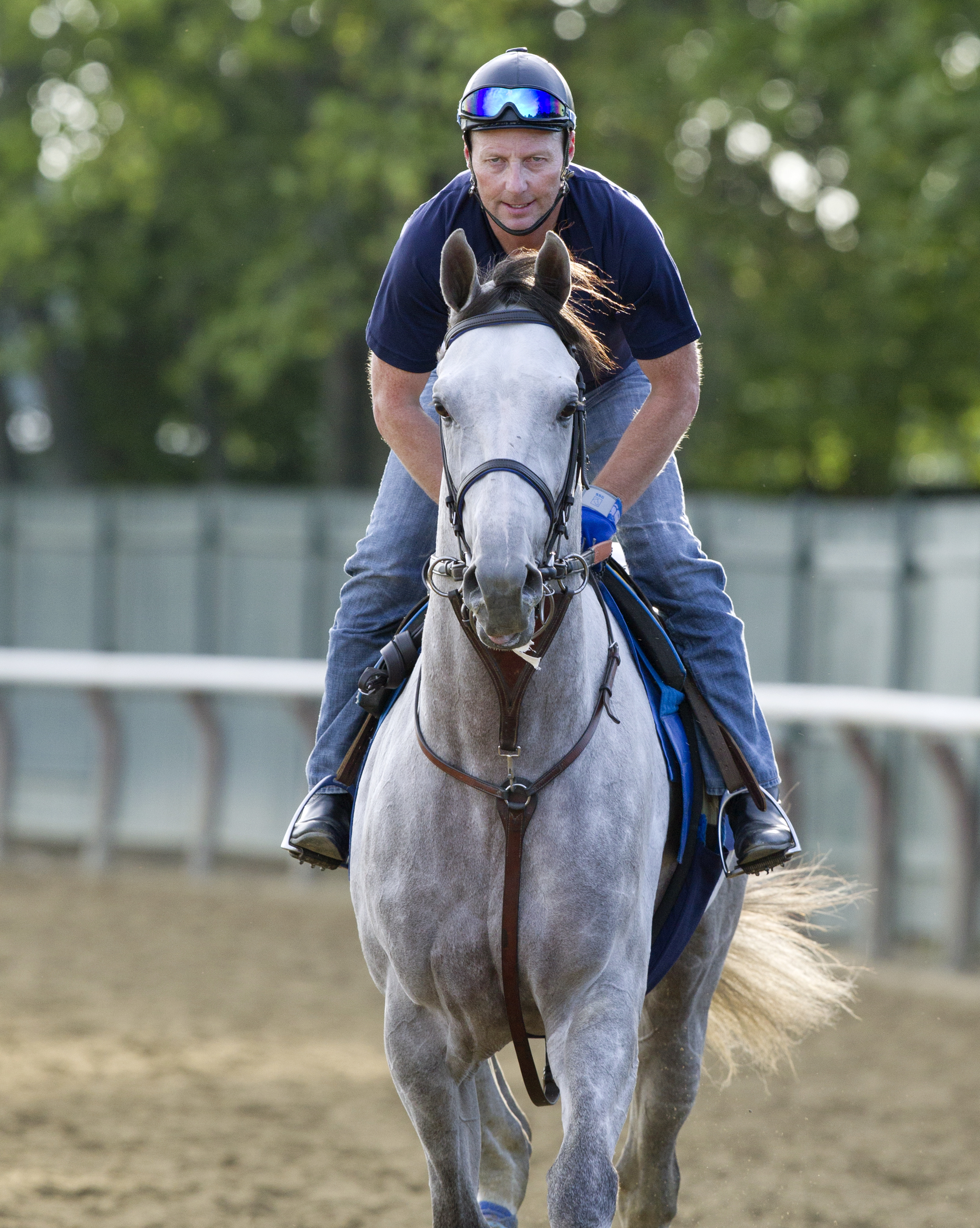 Cupid trains at Belmont Park on June 8