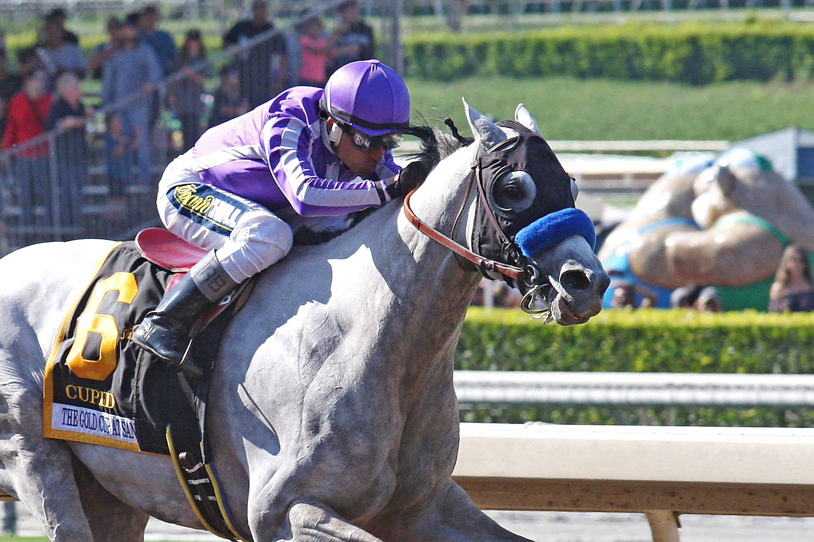Cupid wins the Gold Cup at Santa Anita