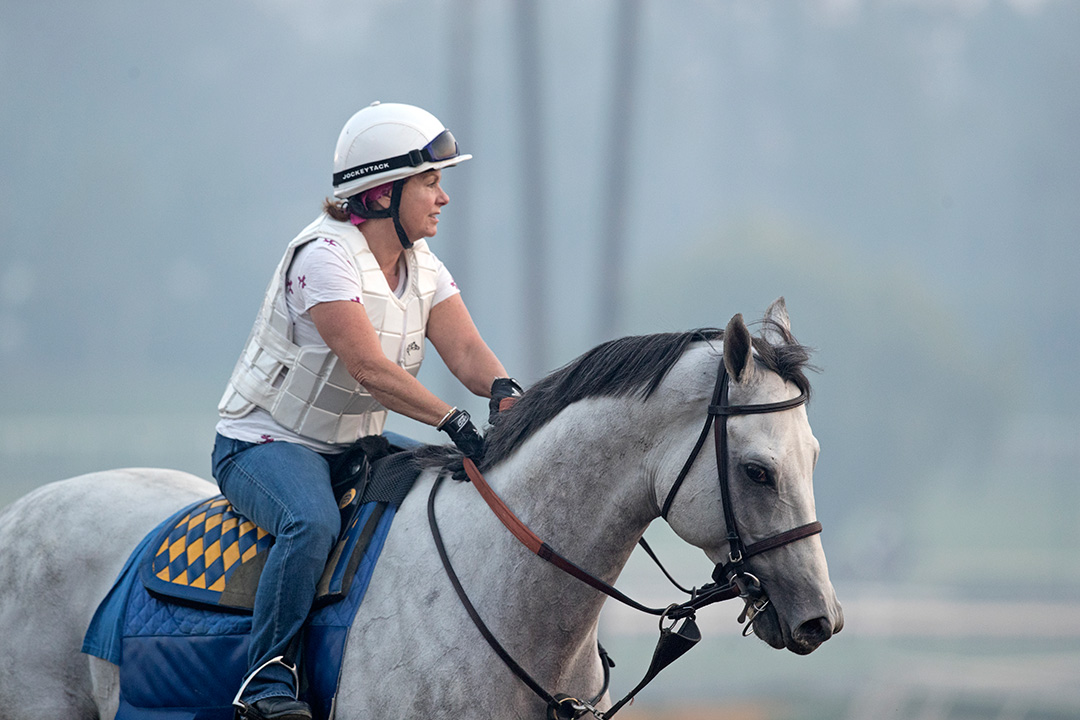 Cupid at Santa Anita Park in July 2017
