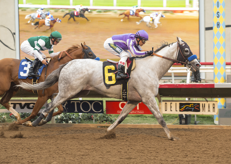 Cupid wins the Harry Brubaker Stakes at Del Mar 8.23.17