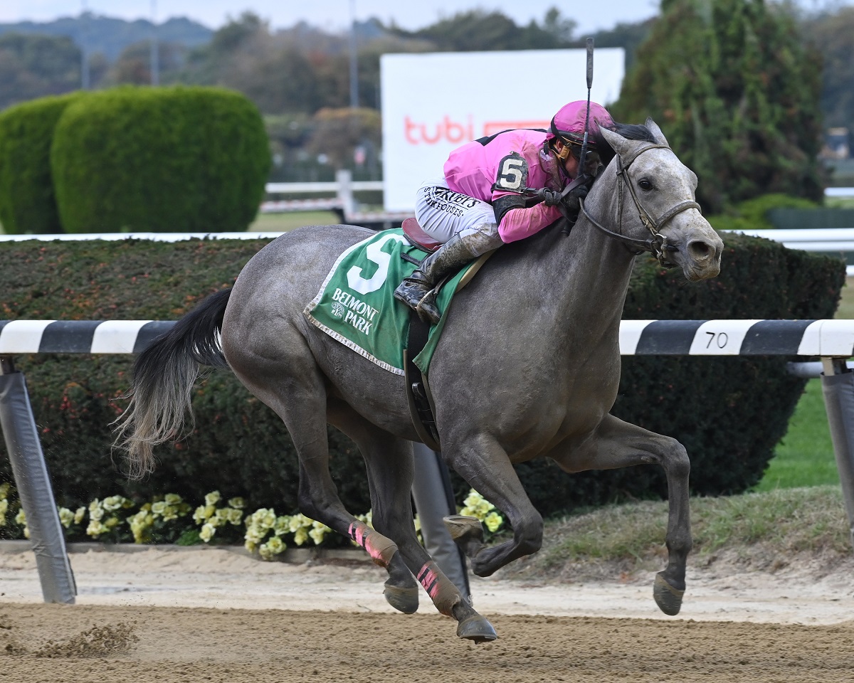 Cupids Heart ganando en Belmont Park - Coglianese Photo