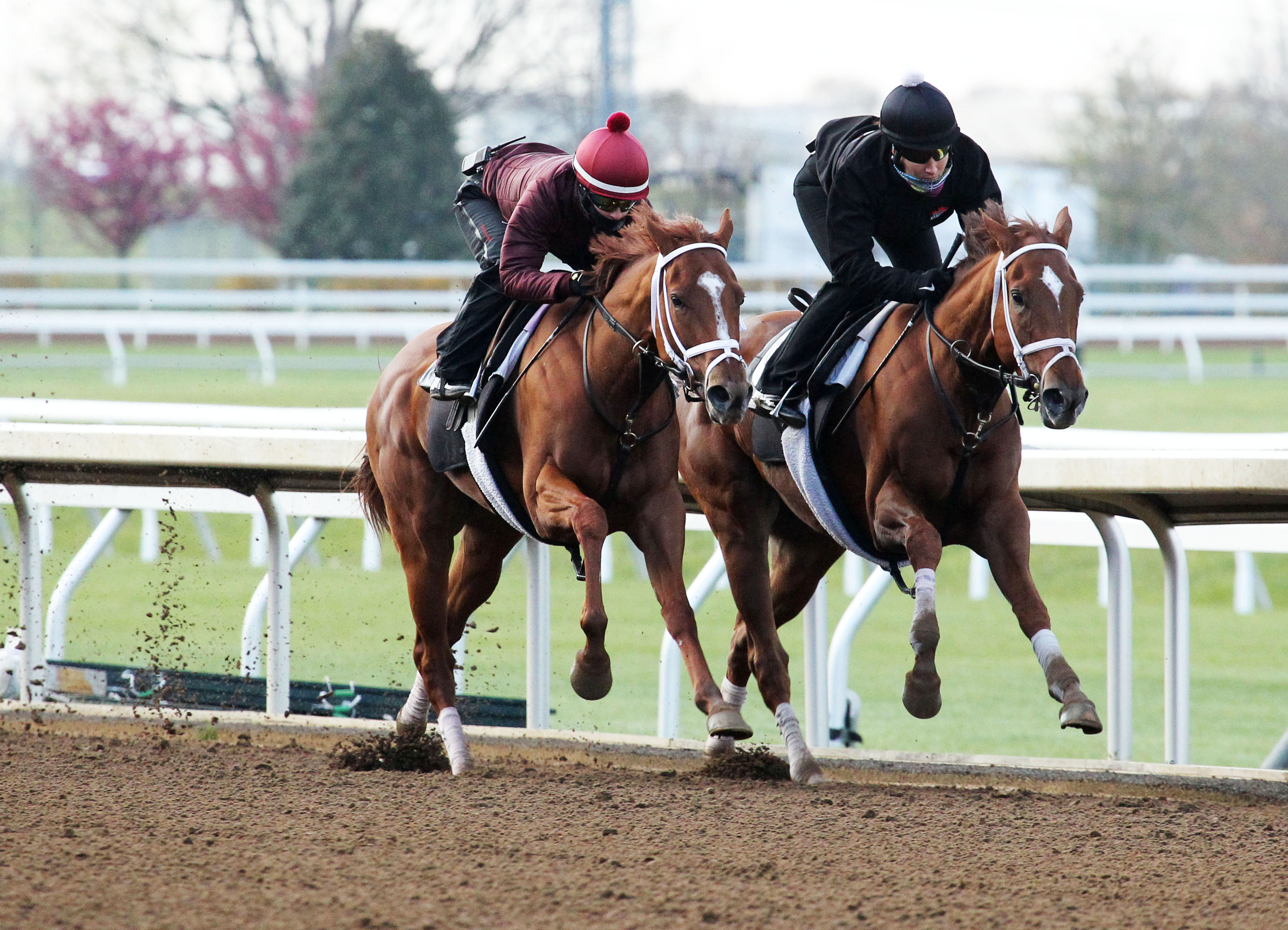 Curalina trains with Lady Soul at Keeneland on April 8