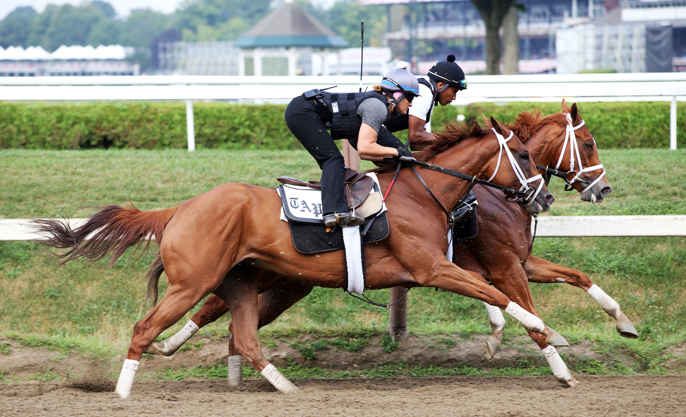 Curalina trains at Saratoga on Aug. 15
