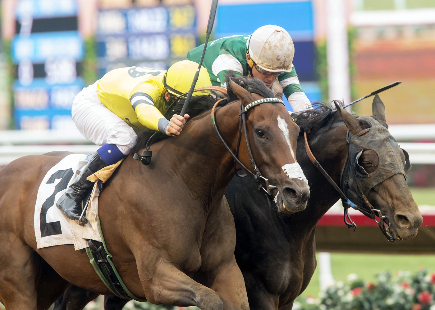 Curlin Road wins the 2017 Cougar II Handicap